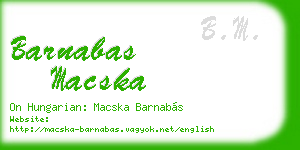 barnabas macska business card